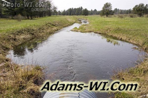 Picture of Dry Creek Picture of Dry Creek