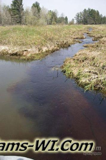 Dry Creek freshwater mixing with murky water. Dry Creek freshwater mixing with murky water.