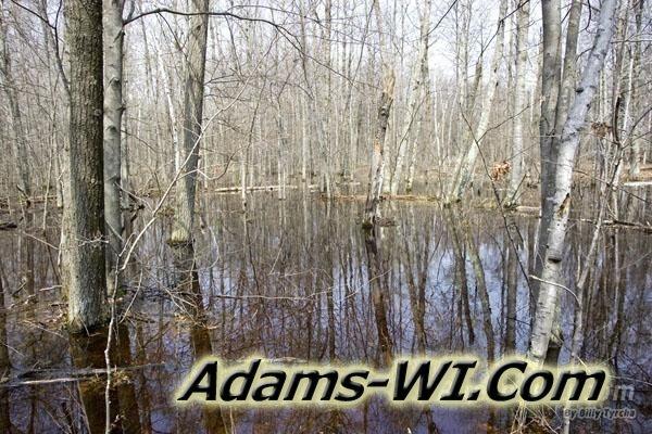 A little flooding in Colburn wildlife area. A little flooding in Colburn wildlife area.
