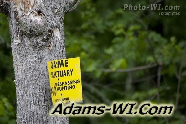 Gain sanctuary – No Trespassing sign Gain sanctuary – No Trespassing sign