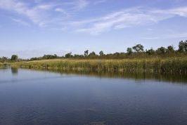Easton Shores Pond Photos