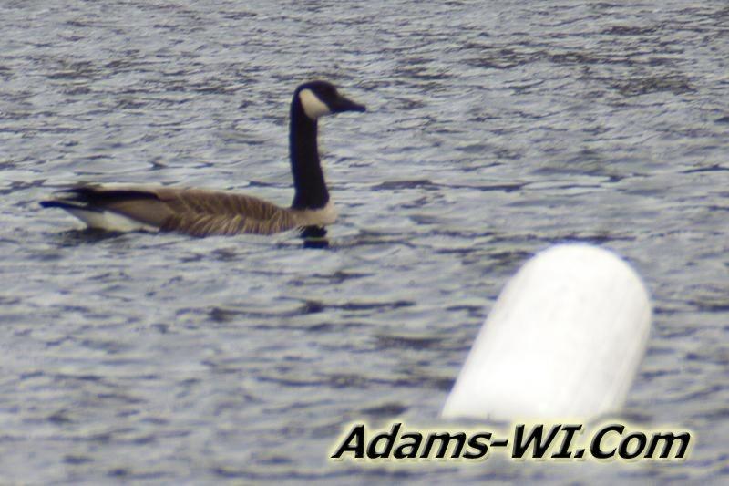 D 800X533 IMG 2990 D 800X533 IMG 2990