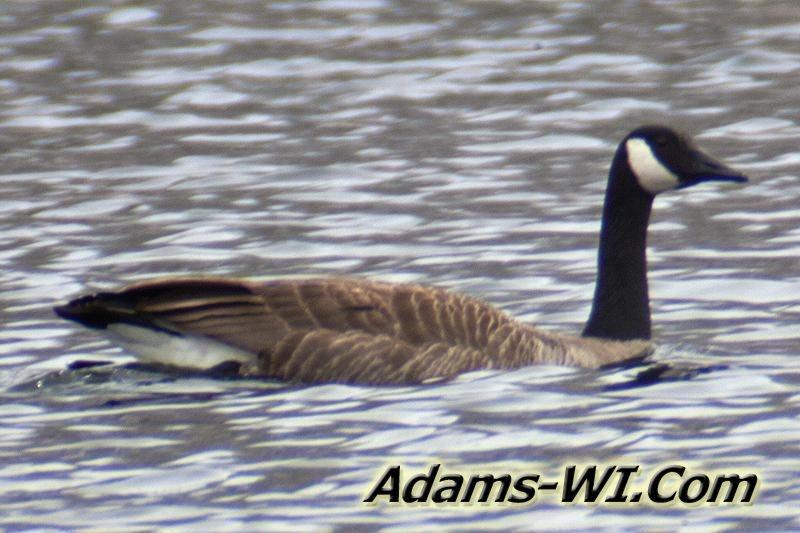 D 800X533 IMG 2995 D 800X533 IMG 2995