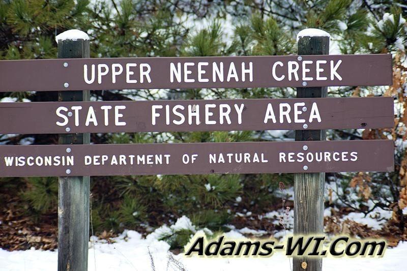 D 800X533 IMG 3000 D 800X533 IMG 3000