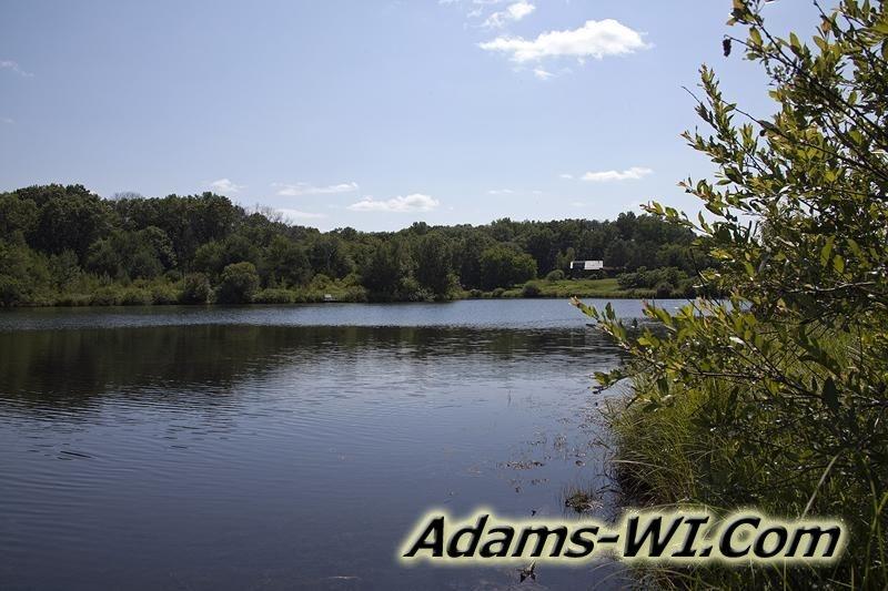 D 800X533 IMG 8457 D 800X533 IMG 8457