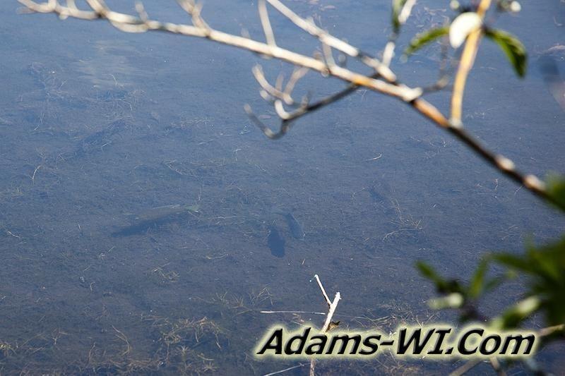 D 800X533 IMG 8459 D 800X533 IMG 8459