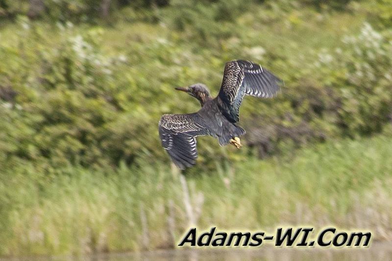 D 800X533 IMG 8460 D 800X533 IMG 8460