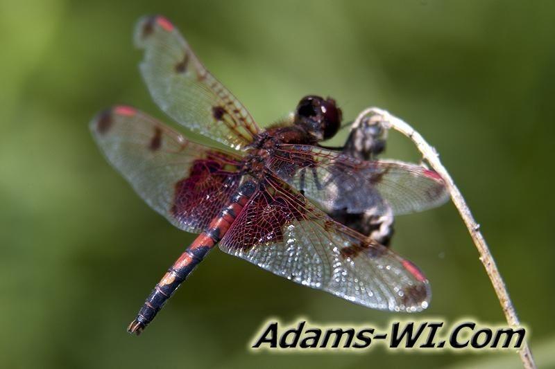 D 800X533 IMG 8463 D 800X533 IMG 8463