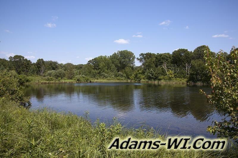 D 800X533 IMG 8468 D 800X533 IMG 8468