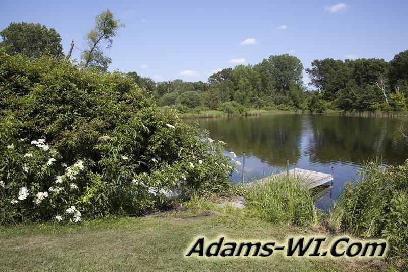 D 800X533 IMG 8471 D 800X533 IMG 8471