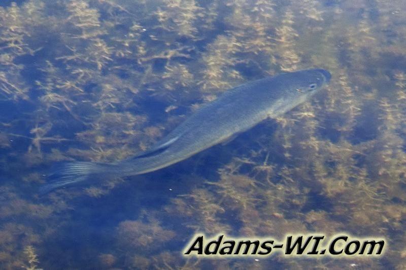 D 800X533 IMG 8473 D 800X533 IMG 8473