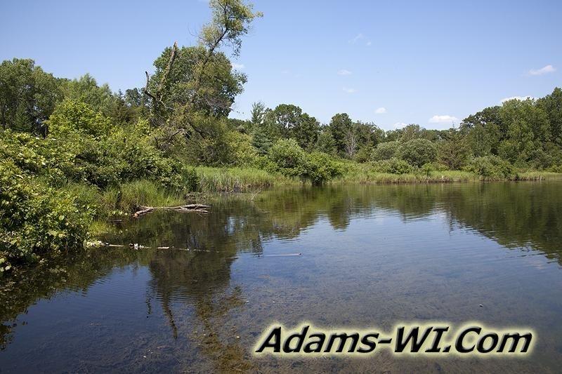 D 800X533 IMG 8474 D 800X533 IMG 8474