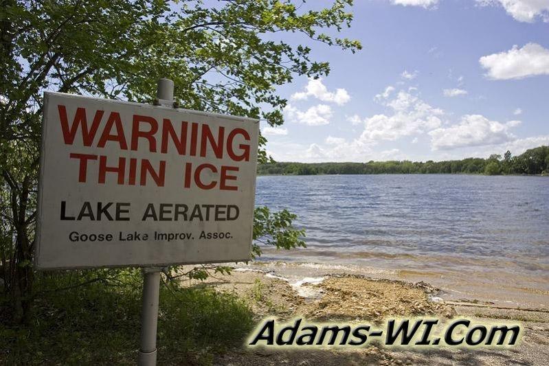 800X533 D3Z6939 800X533 D3Z6939