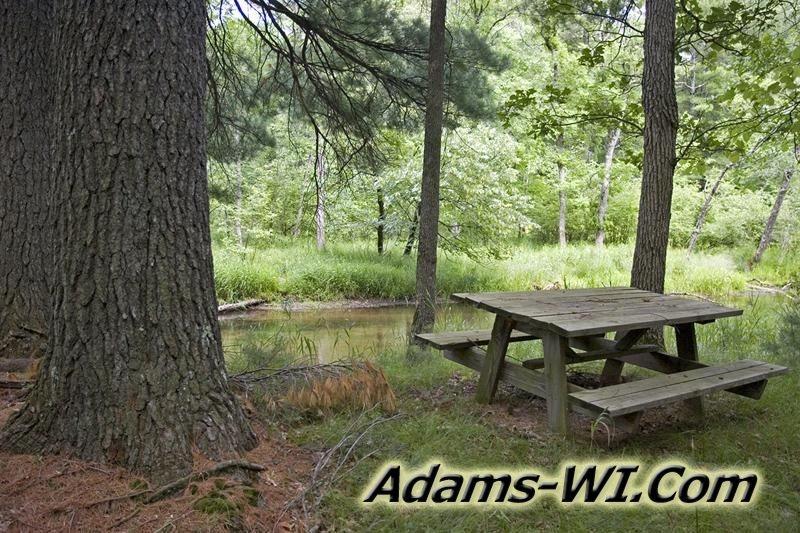 D 800X533 D3Z0244 D 800X533 D3Z0244