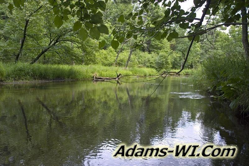 D 800X533 D3Z0250 D 800X533 D3Z0250