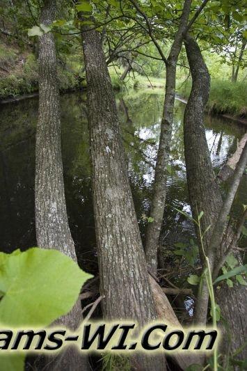 D 800X533 D3Z0258 D 800X533 D3Z0258