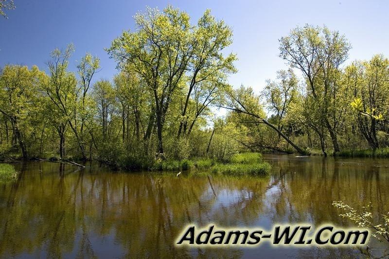 D 800X533 D3Z6016 D 800X533 D3Z6016