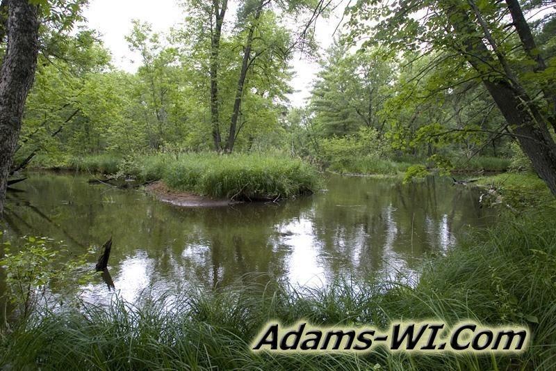 D 800X533 D3Z7542 800 D 800X533 D3Z7542 800