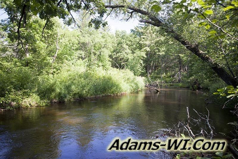 D 800X533 IMG 4255 D 800X533 IMG 4255