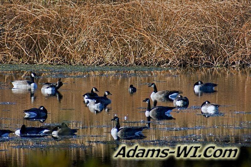 D 800X533 IMG 5265 D 800X533 IMG 5265