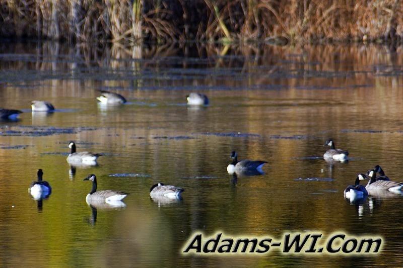 D 800X533 IMG 5267 D 800X533 IMG 5267