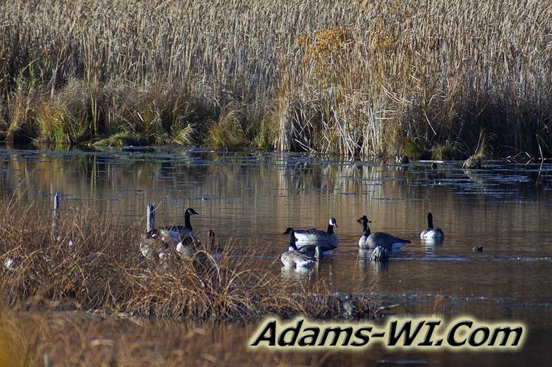 D 800X533 IMG 5269 D 800X533 IMG 5269