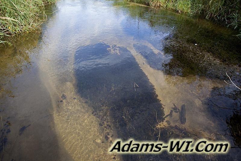 D 800X533 IMG 8768 D 800X533 IMG 8768