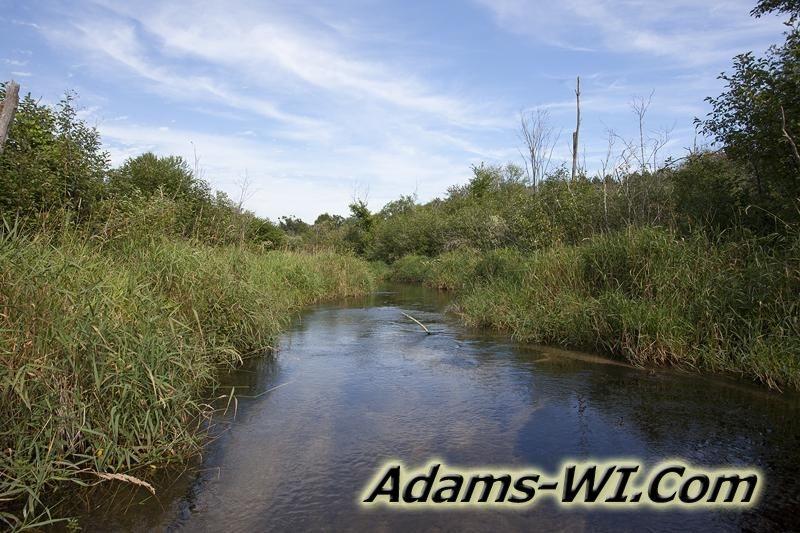 D 800X533 IMG 8769 D 800X533 IMG 8769