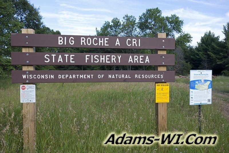 D 800X533 IMG 8787 D 800X533 IMG 8787