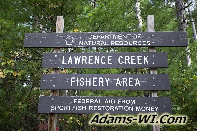 D 800X533 IMG 0496 D 800X533 IMG 0496