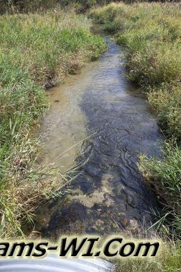 D 800X533 IMG 0504 D 800X533 IMG 0504