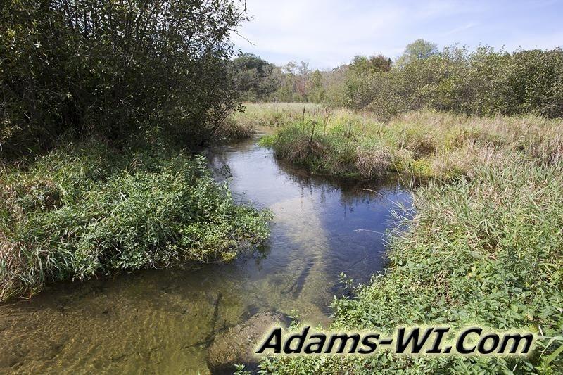 D 800X533 IMG 0507 D 800X533 IMG 0507