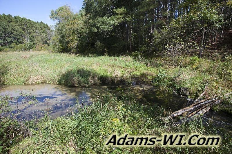 D 800X533 IMG 0527 D 800X533 IMG 0527