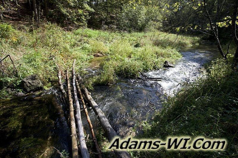 D 800X533 IMG 0529 D 800X533 IMG 0529