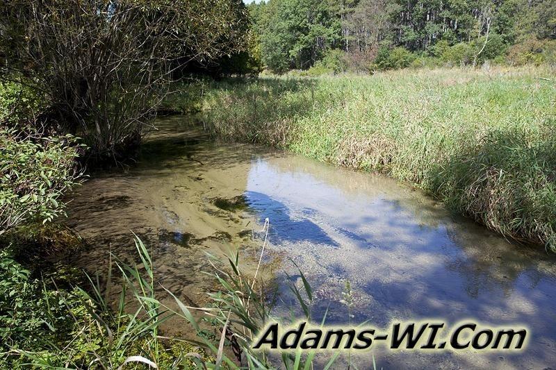 D 800X533 IMG 0530 D 800X533 IMG 0530