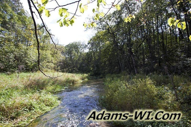 D 800X533 IMG 0533 D 800X533 IMG 0533