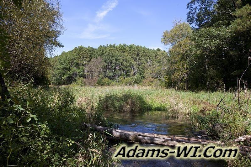 D 800X533 IMG 0536 D 800X533 IMG 0536