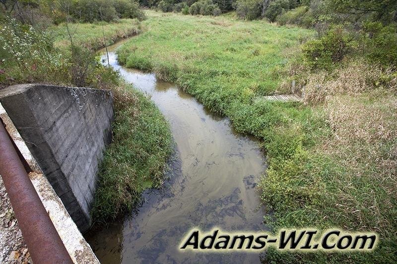 D 800X533 IMG 0575 D 800X533 IMG 0575