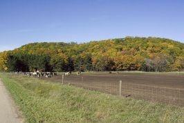 Horse Shoe Bluff Pictures