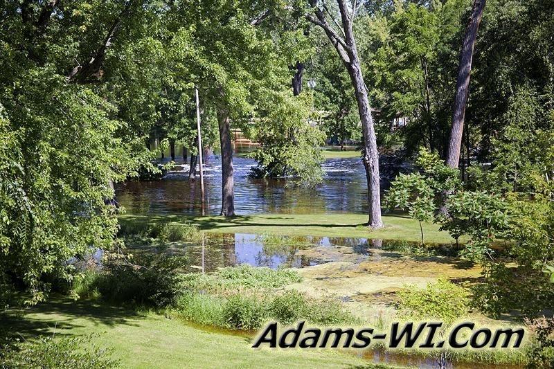 D 800X533 IMG 4932 D 800X533 IMG 4932