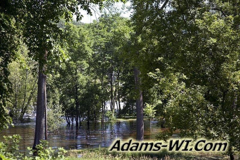 D 800X533 IMG 4937 D 800X533 IMG 4937