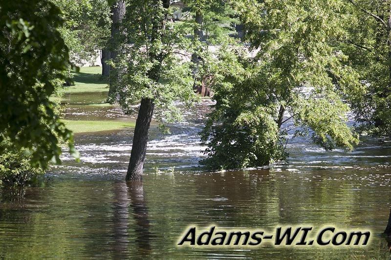 D 800X533 IMG 4939 D 800X533 IMG 4939