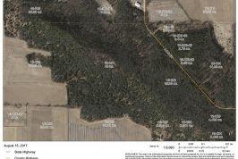 Easton Mound Pictures