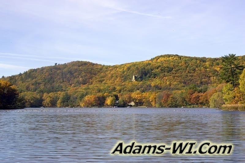 800X533 D3Z2320 800X533 D3Z2320