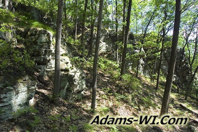 D 800X533 3Z9675 D 800X533 3Z9675