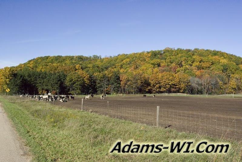 D 800X533 D3Z2300 D 800X533 D3Z2300