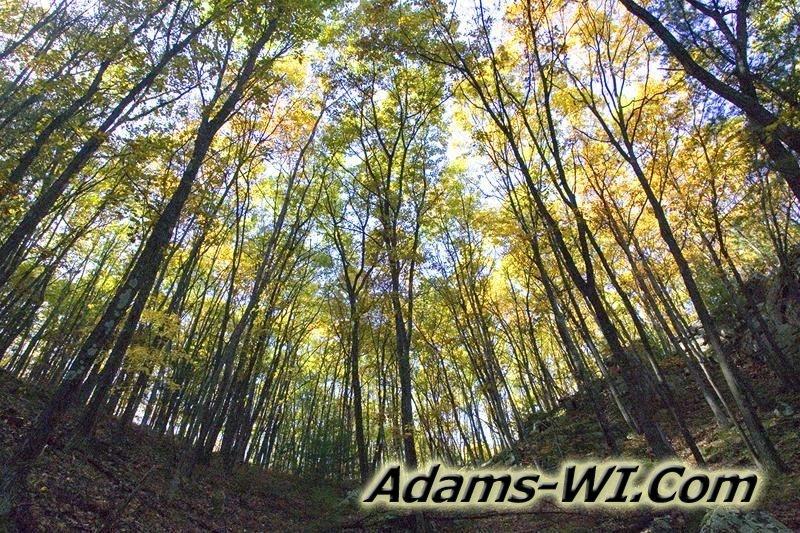 D 800X533 D3Z2342 D 800X533 D3Z2342