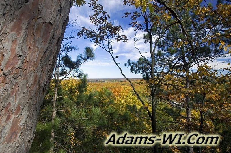 D 800X533 D3Z2353 D 800X533 D3Z2353