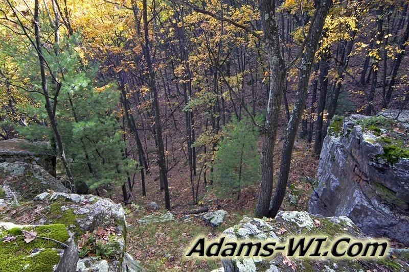 D 800X533 D3Z2364 D 800X533 D3Z2364