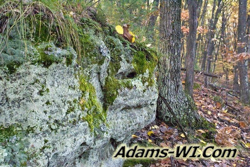 D 800X533 D3Z2380 D 800X533 D3Z2380